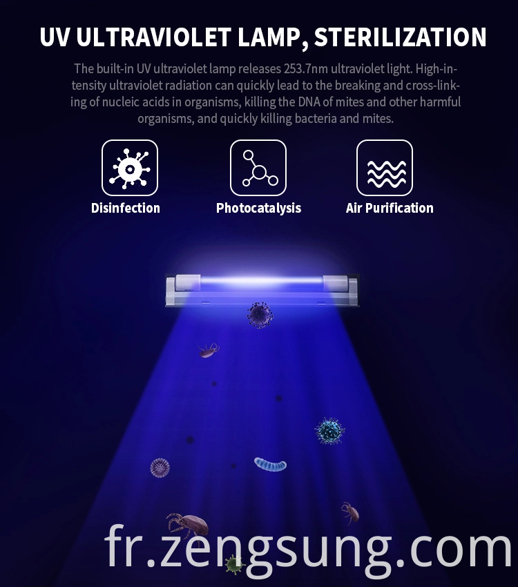 UV LAMP